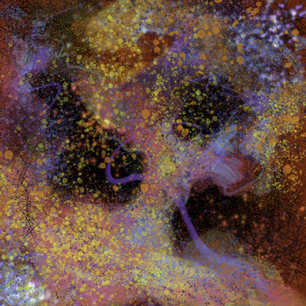 Starry Night by Jonathan Herbert