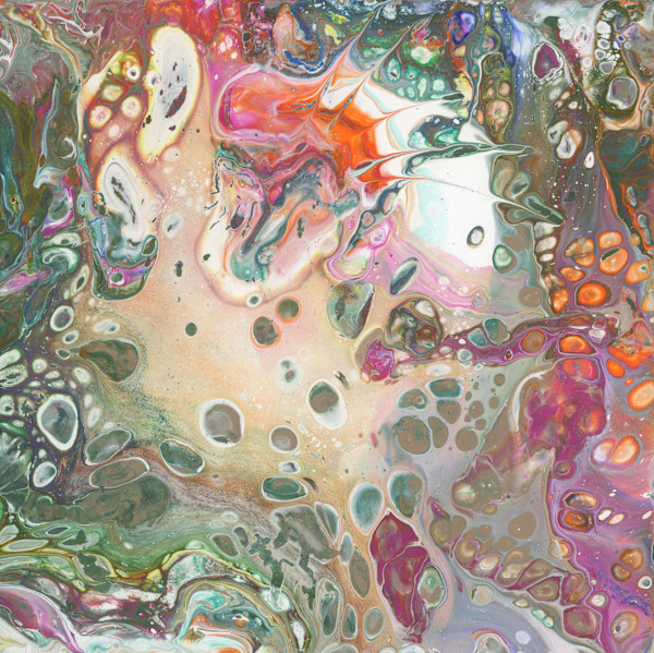 New World by Phoebe Bradbury