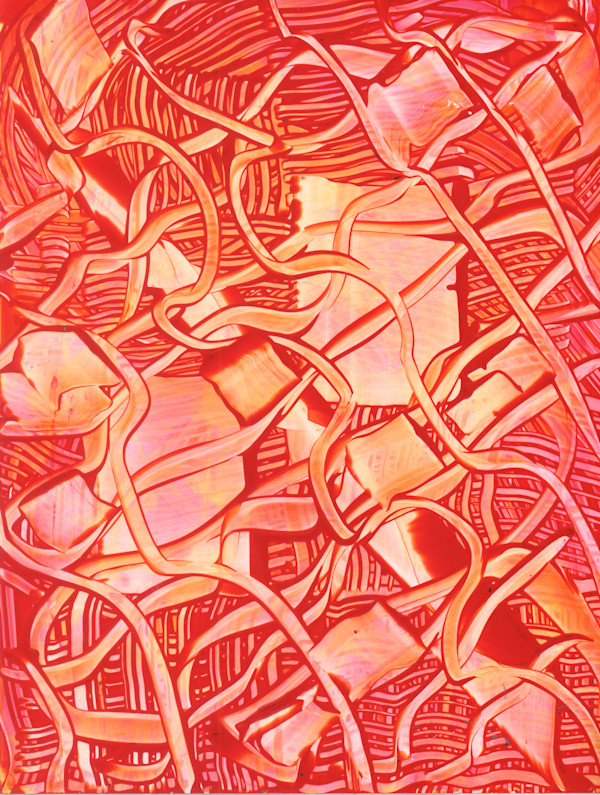 Orange Plan by Phoebe Bradbury