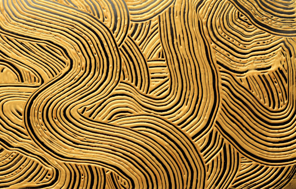 Gold on Black (copy) by Phoebe Bradbury