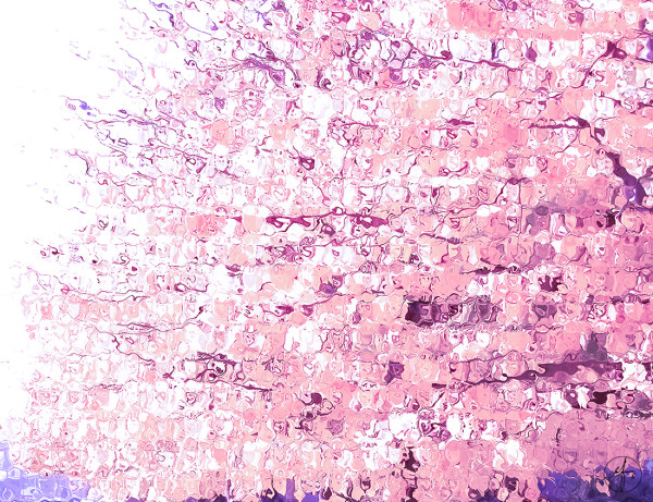 Cherry Blossom by EF Fine Art