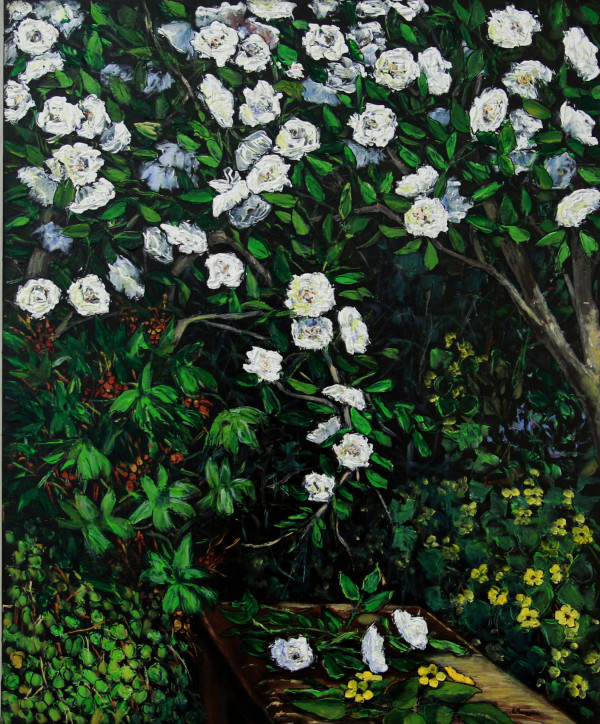 Flors blanques by Ramon Manzañido