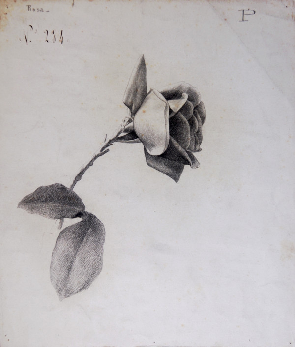 Sense títol by Josep Mirabent i Gatell, Image 1.