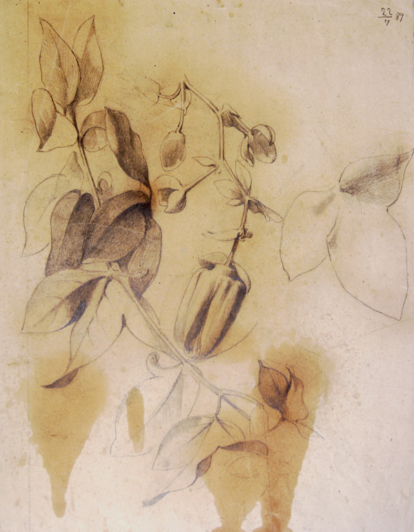 Sense títol by Josep Mirabent i Gatell, Image 10.