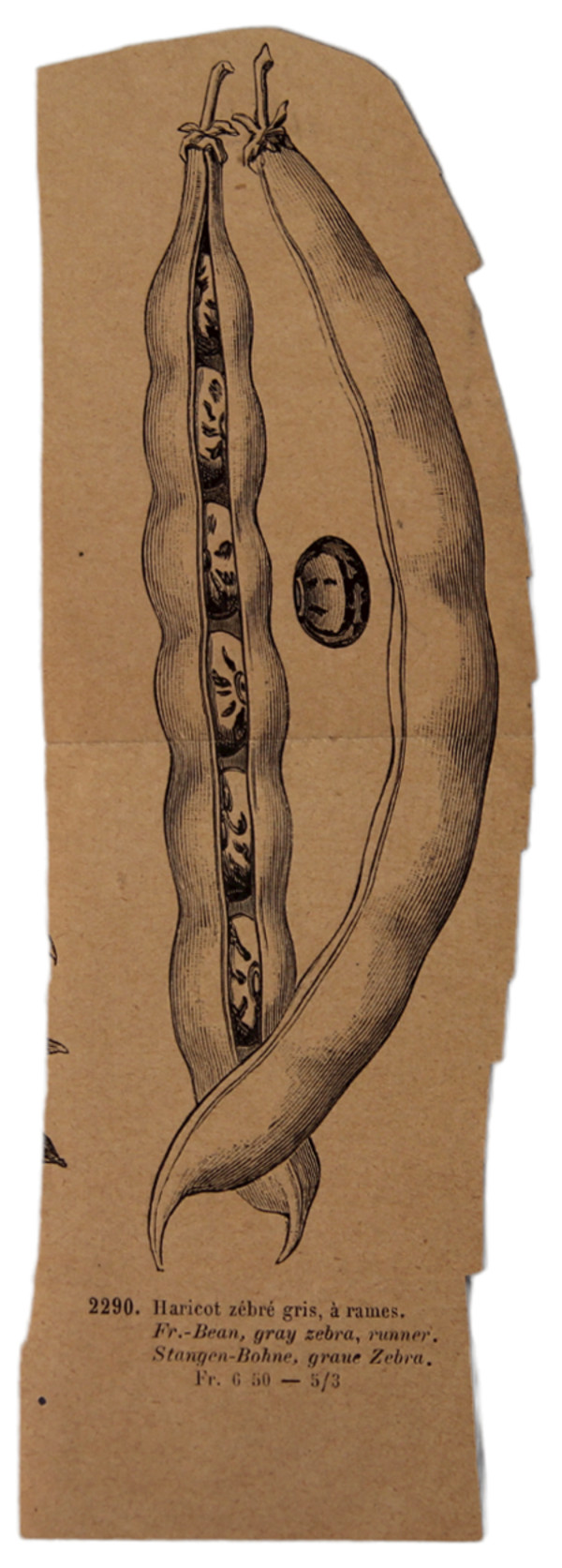 Dibuix 266 by Josep Mirabent i Gatell, Image 1.