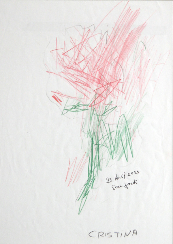 Rosa de Sant Joan by Cristina