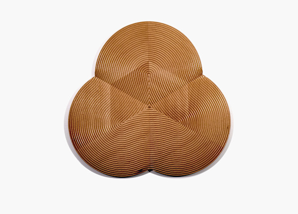 Inside out by Roger Murray