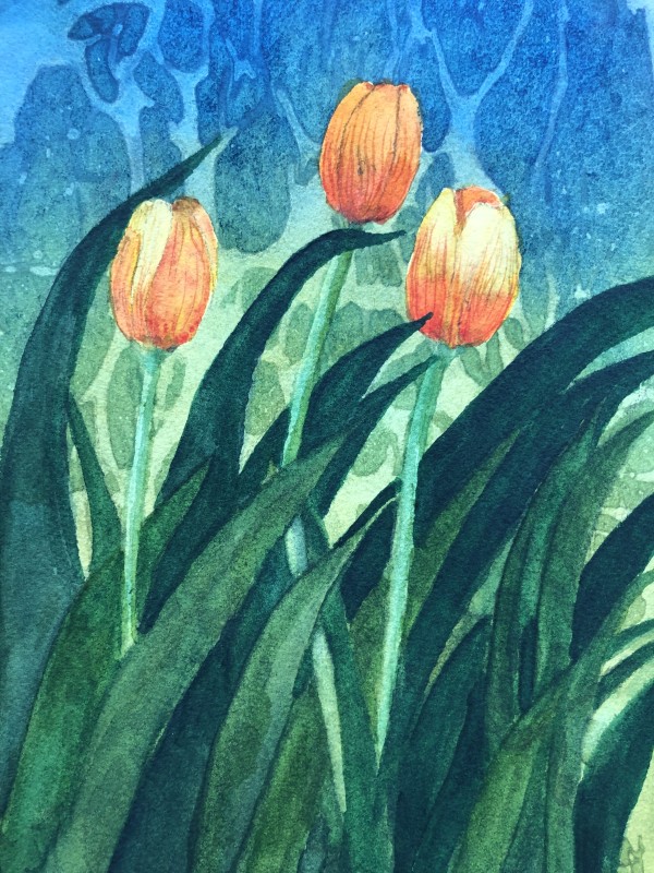 Tulips 5 by Katy Heyning