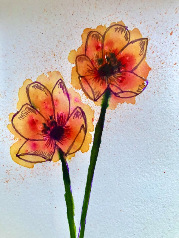 Orange Flower Study by Katy Heyning