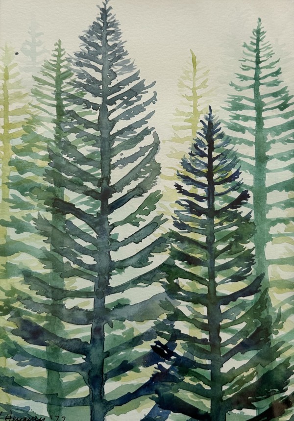 Pines by Katy Heyning