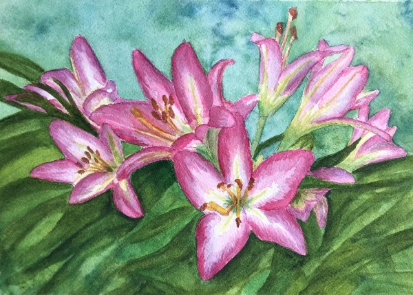 Lilies by Katy Heyning