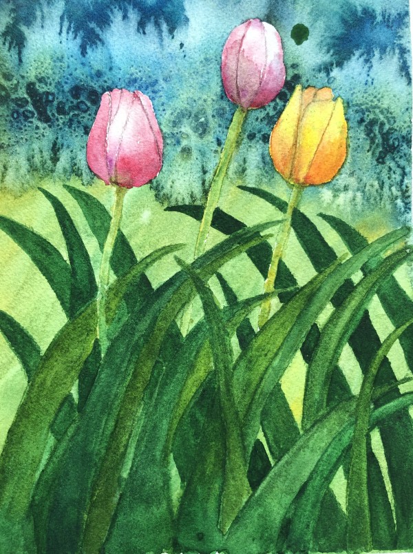 Tulips 4 by Katy Heyning