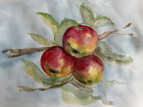 Apples by Katy Heyning