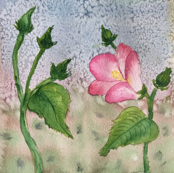 Swamp Red Mallow by Katy Heyning