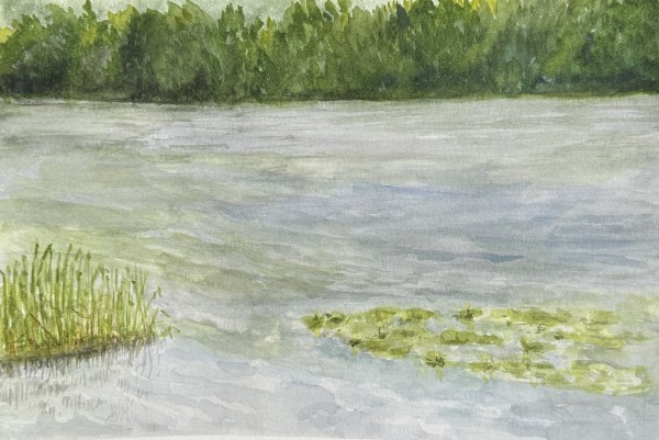 Reeds and Lillies by Katy Heyning