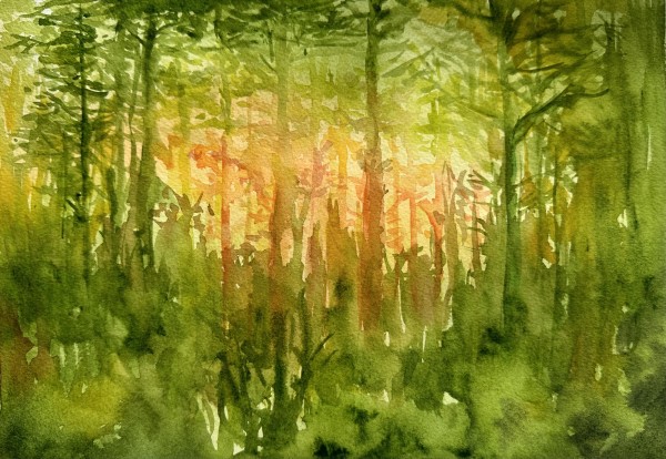 Forest Sunset by Katy Heyning