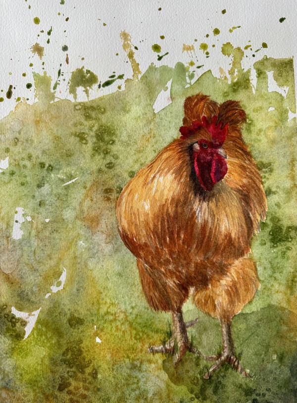 Rooster by Katy Heyning