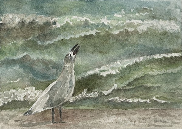 Seagull by Katy Heyning