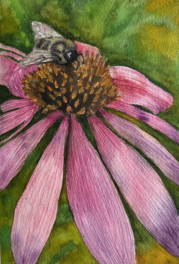 Bee and coneflower by Katy Heyning