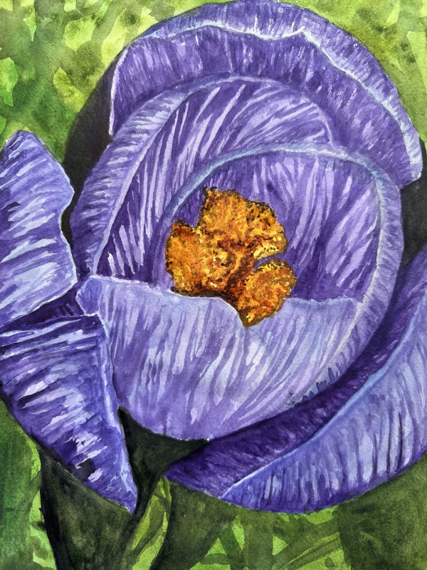 Crocus by Katy Heyning