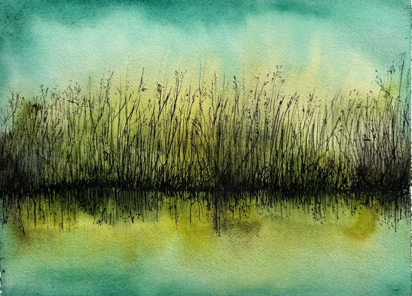 Marsh Grass by Katy Heyning