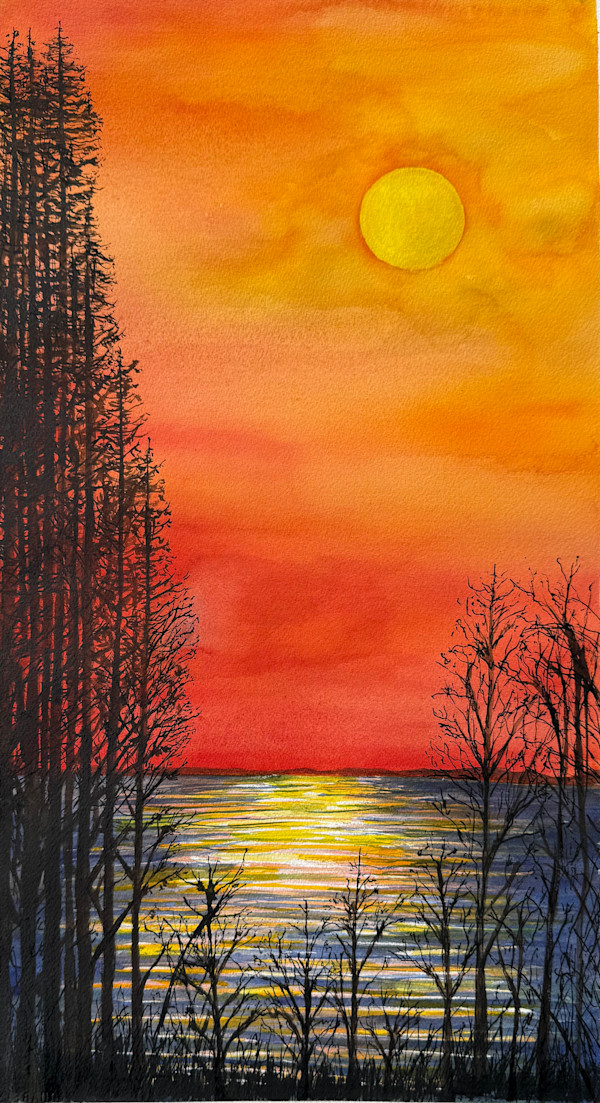 Tall Pines and Sun by Katy Heyning