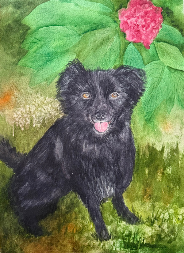 Archie by Katy Heyning
