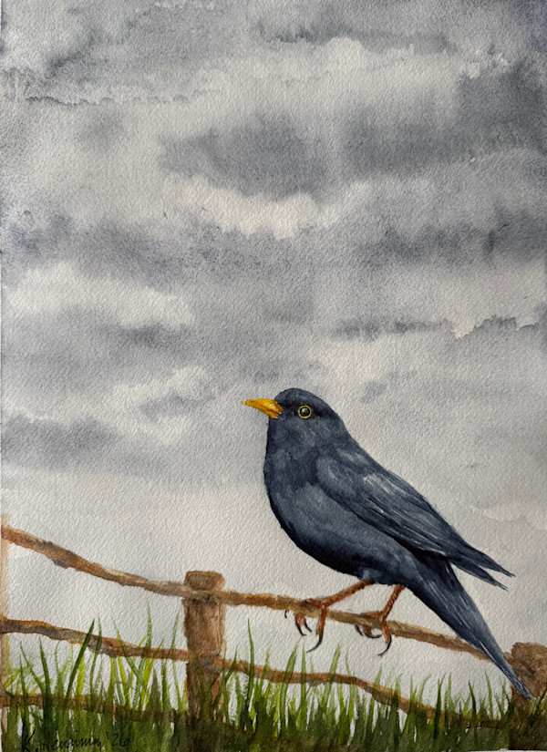 Blackbird 2 by Katy Heyning Watercolor and Fine Art, Image 2.