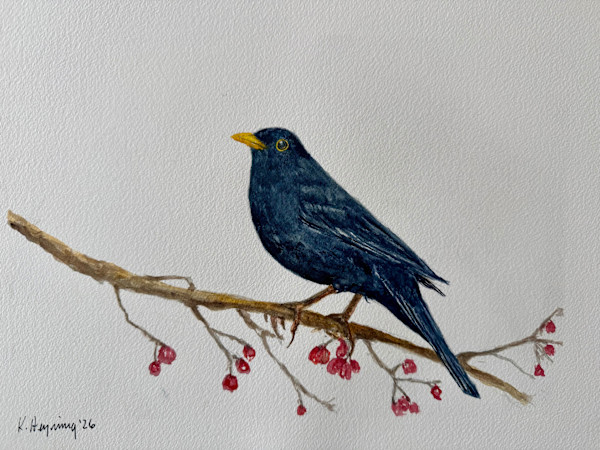 Blackbird by Katy Heyning Watercolor and Fine Art, Image 1.