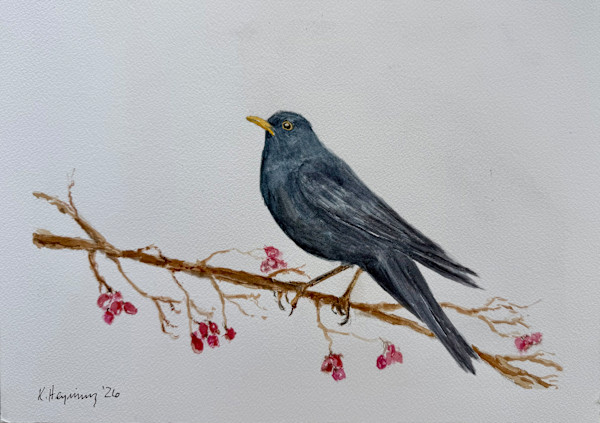 Blackbird 3 by Katy Heyning Watercolor and Fine Art, Image 1.
