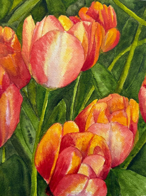 Tulip 6 by Katy Heyning Watercolor and Fine Art, Image 1.