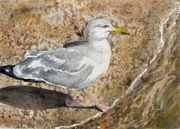 Seagull by Katy Heyning Watercolor and Fine Art, Image 1.