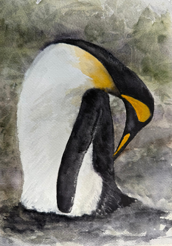 King of the Falklands by Katy Heyning Watercolor and Fine Art, Image 1.