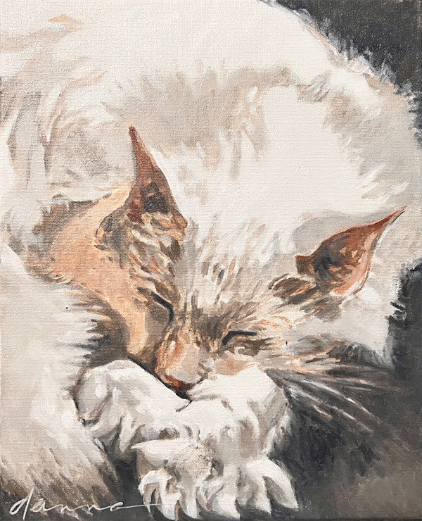 Blissful Cat Nap by Danna Tartaglia