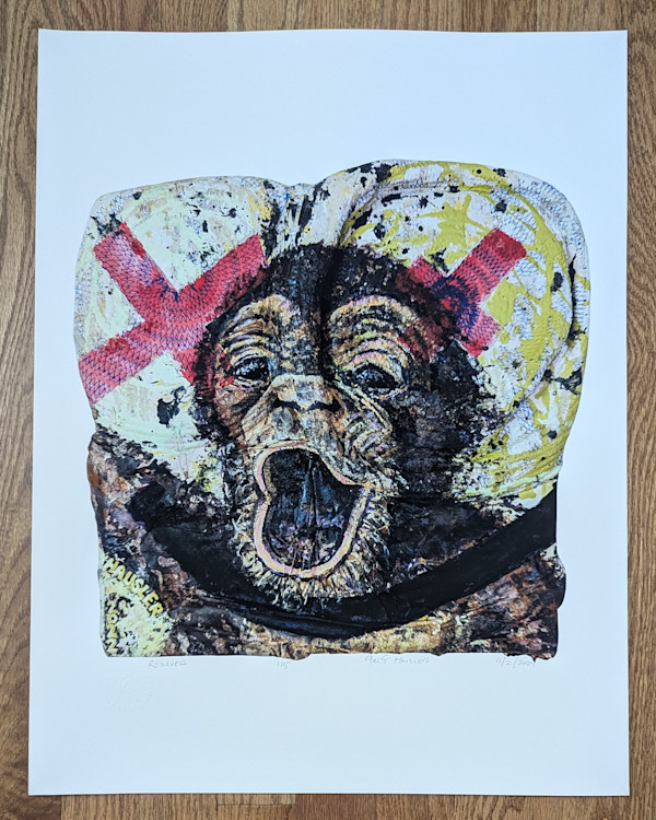 Rescued 2024 1/5 by Greg Hausler