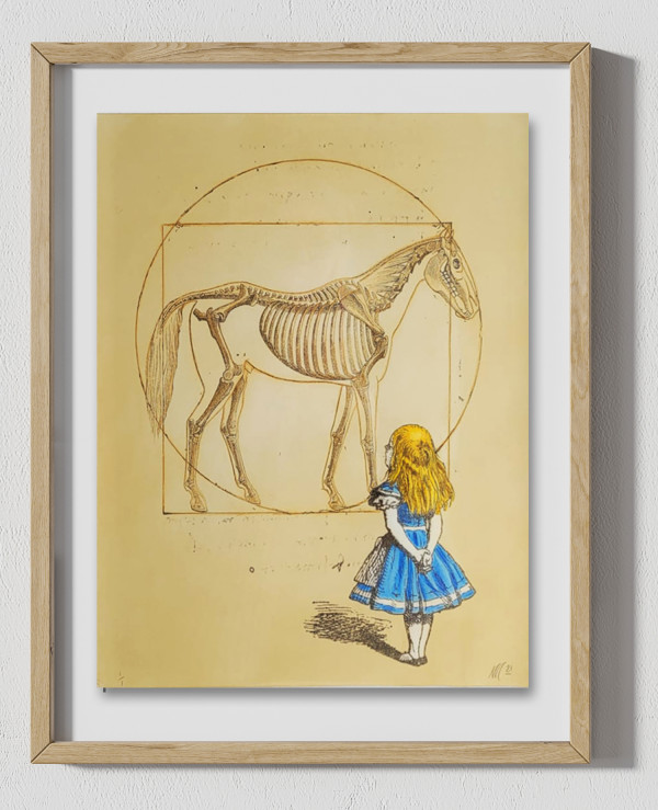 Wonder (1/10)
