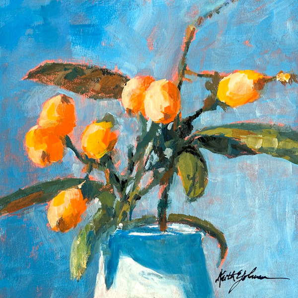 Loquats by Keith E  Johnson