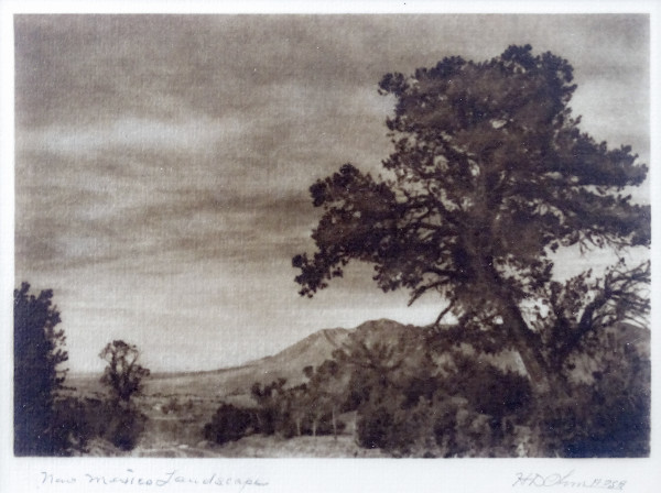 New Mexico Landscape by Herbert Dewey Ohm