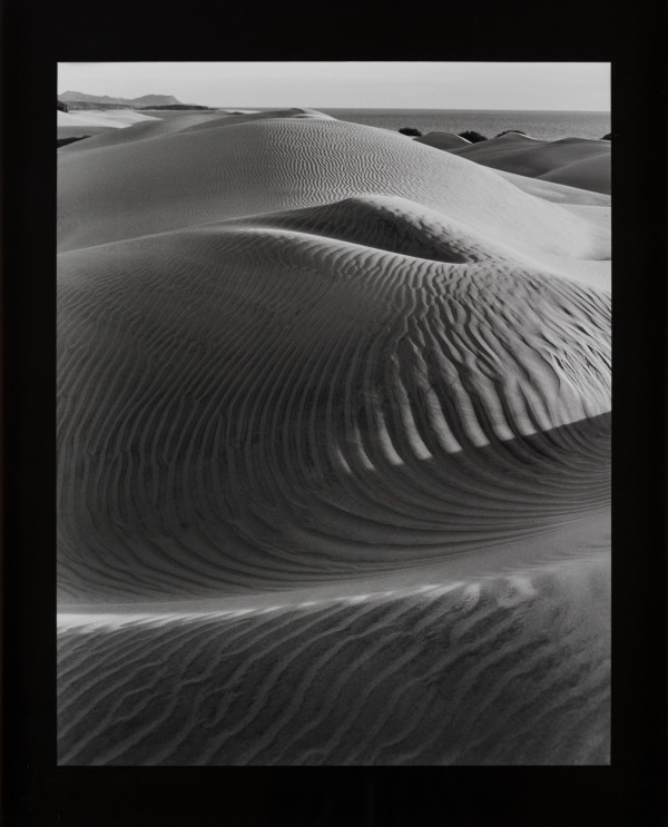 Dunes, El Cardon, Baja California, Mexico by Philipp Scholz Rittermann