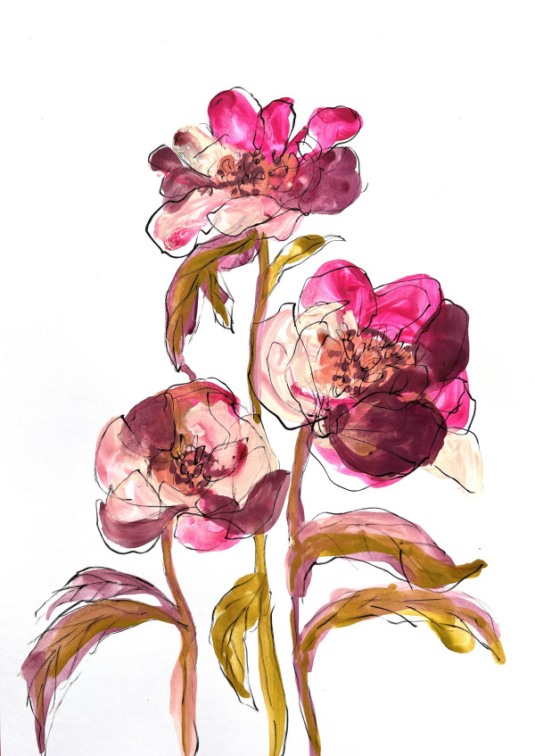 In The Pink (Peony) by Lucy Innes Williams