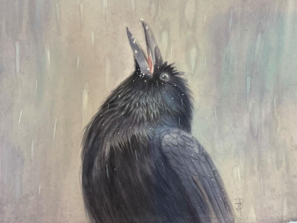 Catching Snow by Dorie Petrochko