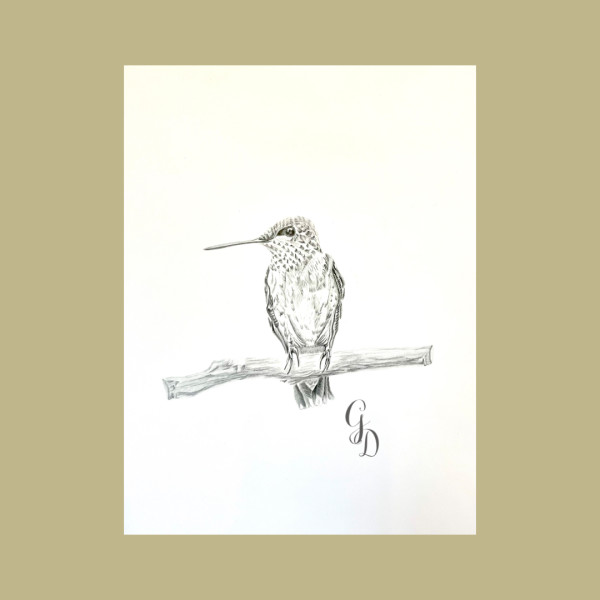 Resting Hummingbird by Gail Dentler