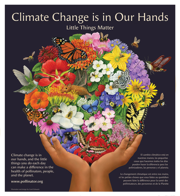 Climate Change is in Our Hands - Little Things Matter by Carol Schwartz