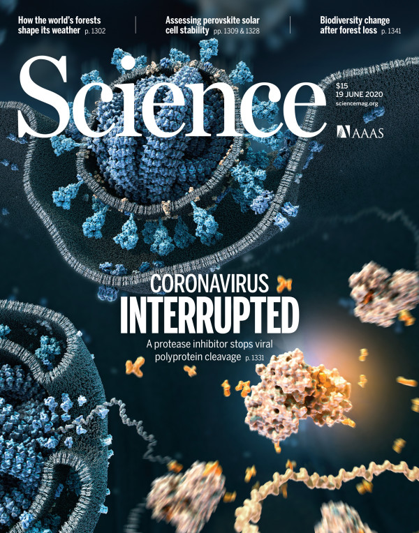 Coronavirus interrupted by Chris Bickel