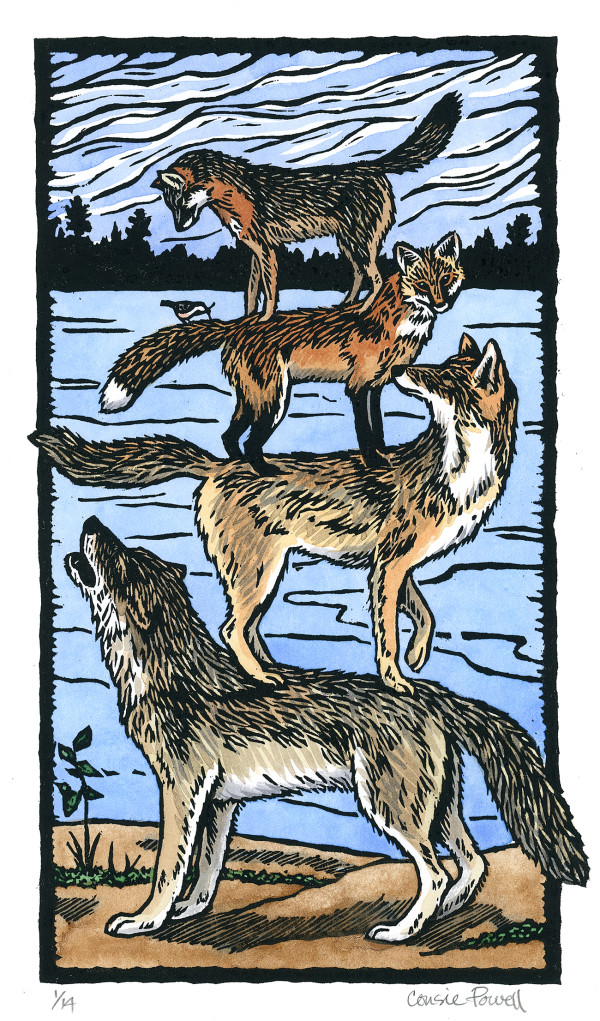 Canoe Country Canids by Consie Powell