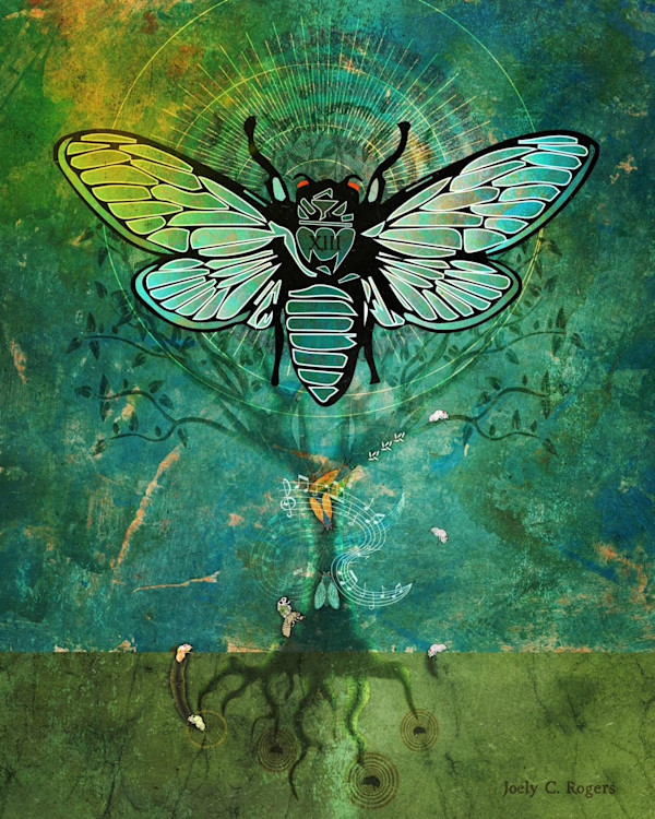 Cicada Cycle 13 by Joely Rogers