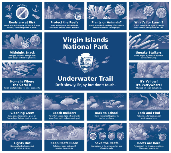 Virgin Islands National Park Underwater Trail by Fiona Martin