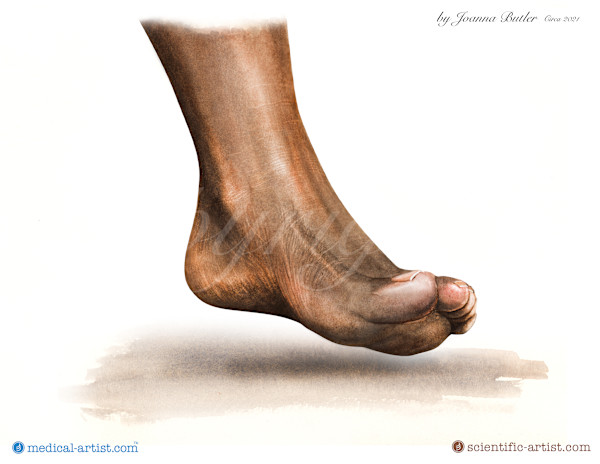 Foot study in watercolour by Joanna Butler