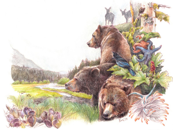 A bear-able adventure by Beatriz Martin