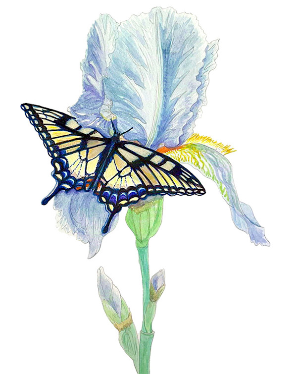Delicate Balance by Mariah Sotelino